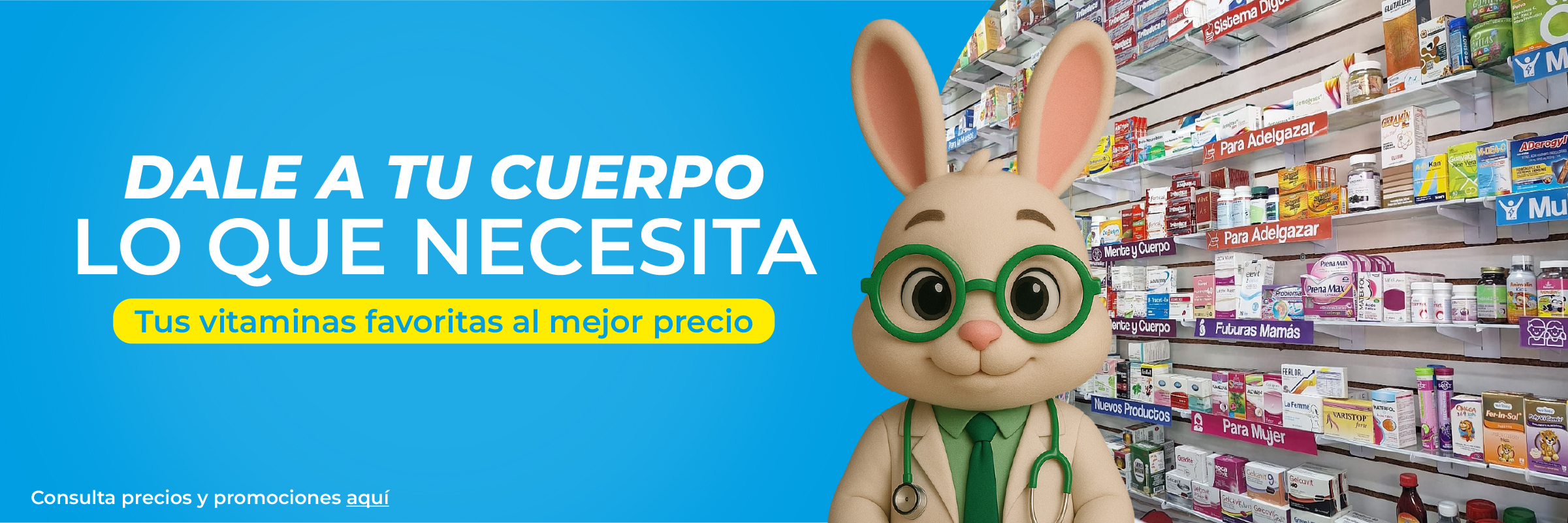 Promoción Especial